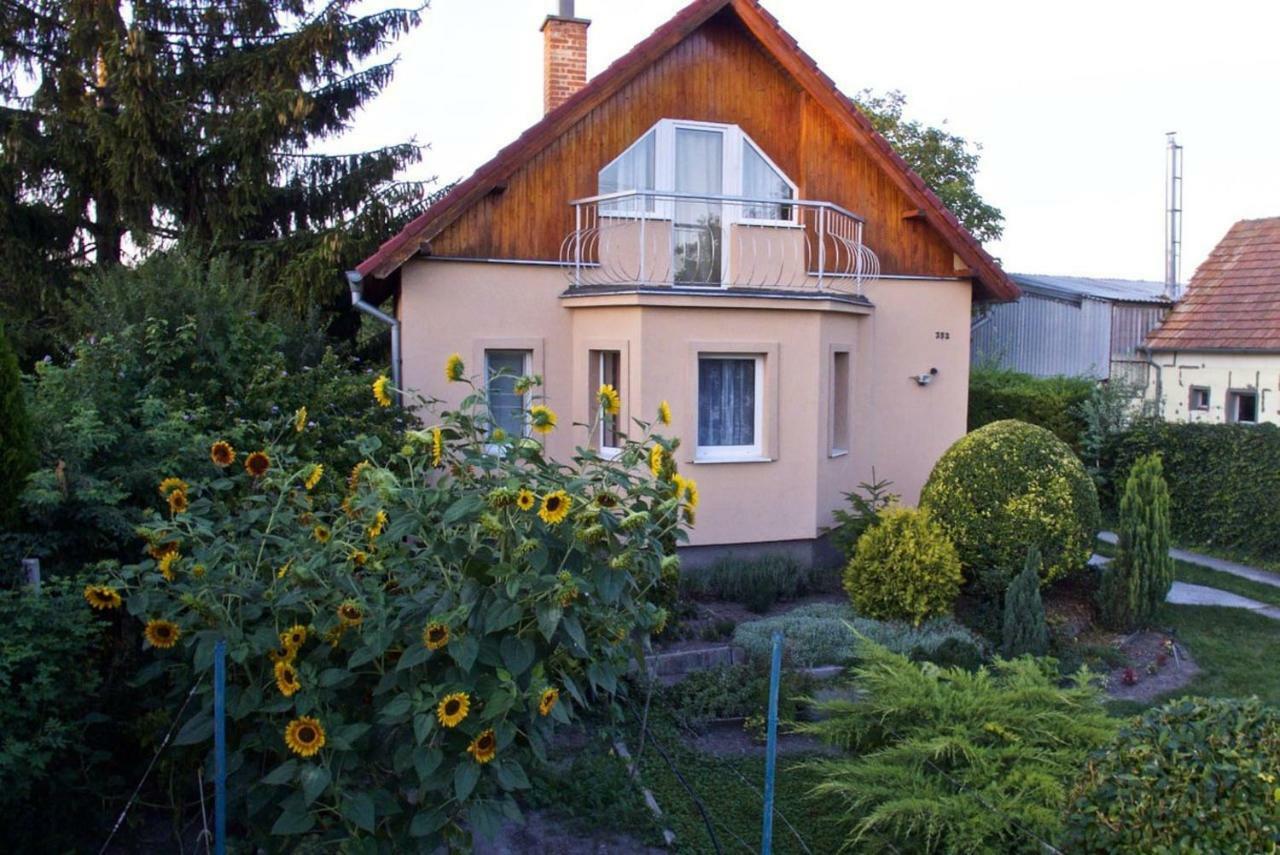 Cottage Near Slovakiaring Mihalfai Majer Exteriér fotografie